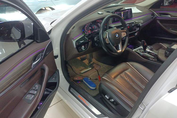 Used BMW 5 Series 2020 530Li Leading Edition Luxury Package