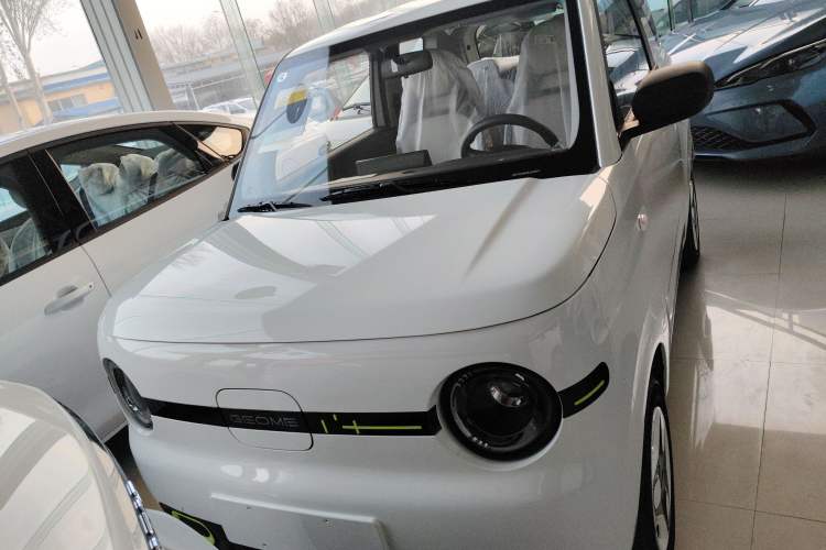 Used  Panda 2025 210 km – Yuanqi Bear
