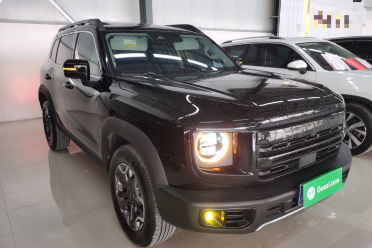 Used Haval DARGO 2024 2.0T DCT Chinese Rural Dog Edition