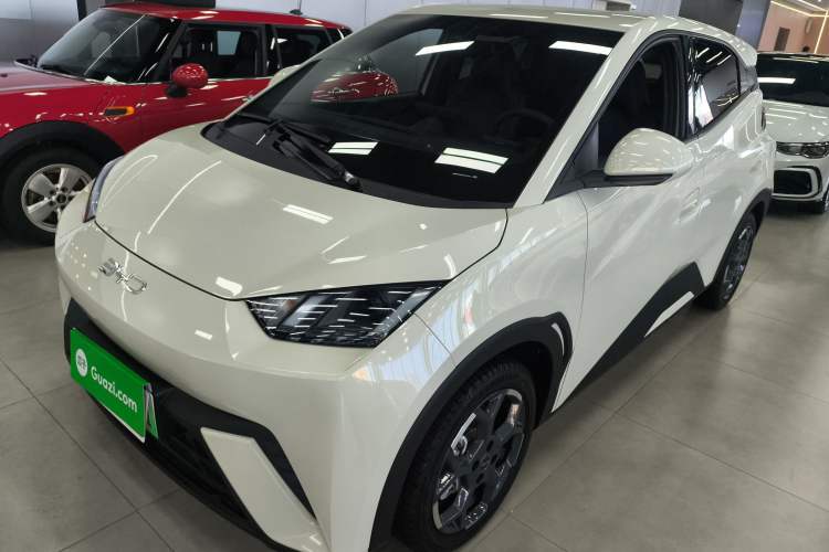 Used BYD Seagull 2025 305 km Free Version
