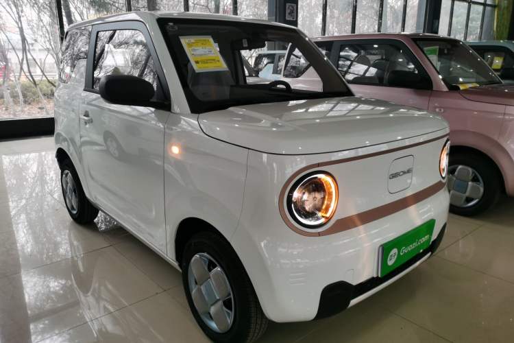 Used  Panda 2024 Panda Mini 200km Endurance Bear
