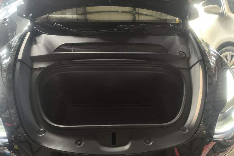 Used Tesla Model Y 2021 Standard Range Rear-Wheel Drive Version
