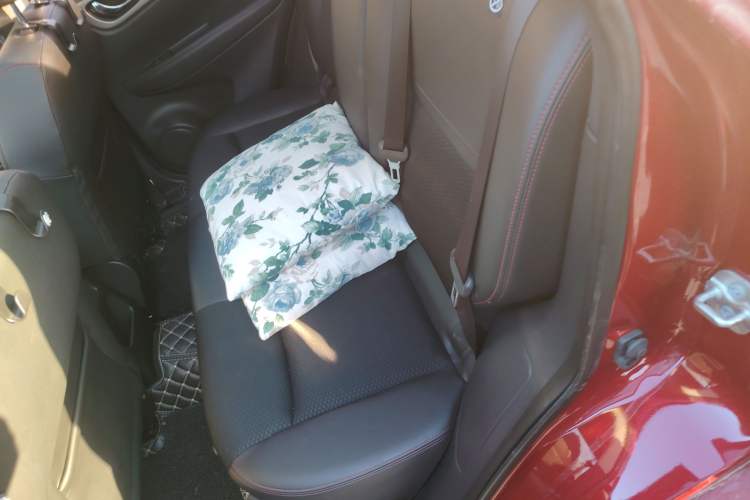 Used Nissan Qashqai 2019 2.0L CVT Luxury Edition
