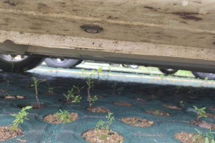 Used Nissan Sylphy 2021 Classic 1.6XL CVT Luxury Edition
