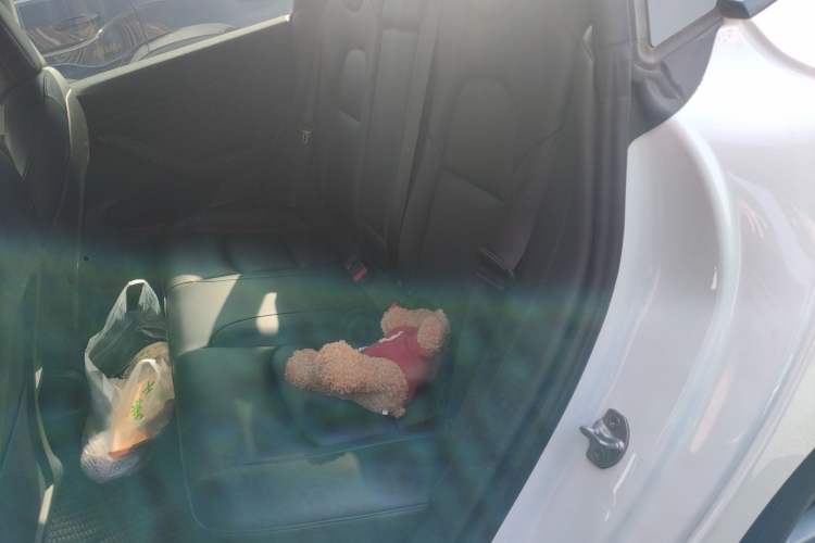 Used Tesla Model 3 2021 Performance High-Performance All-Wheel-Drive Version
