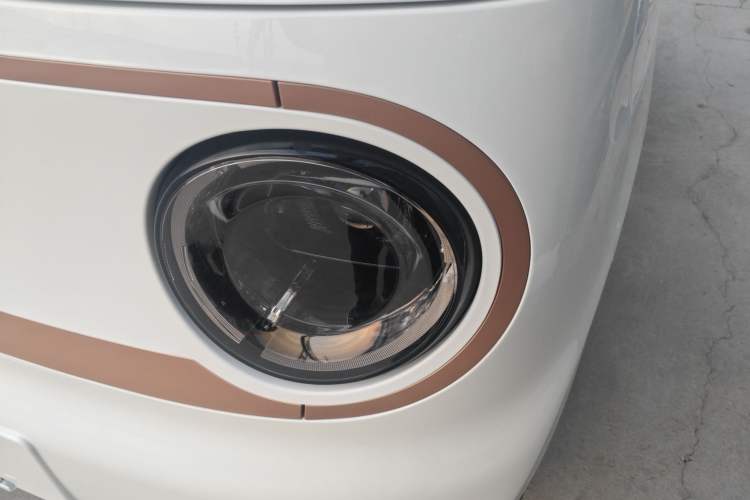 Used  Panda 2024 Panda Mini 200km Endurance Bear