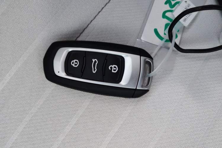 Used  Panda 2025 210 km – Yuanqi Bear