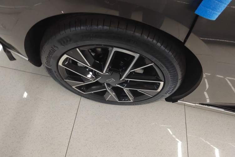 Used  06 2025 Max All-Electric Version
