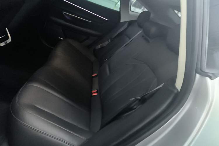 Used XPeng P7 2021 480N
