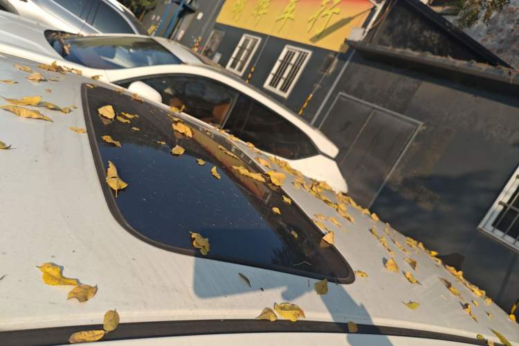 Used Honda Fit 2018 1.5L CVT Comfort Sunroof Version
