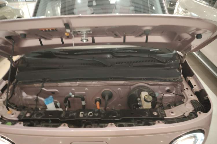 Used  Panda 2024 Panda Mini 200km Longteng PRO Edition
