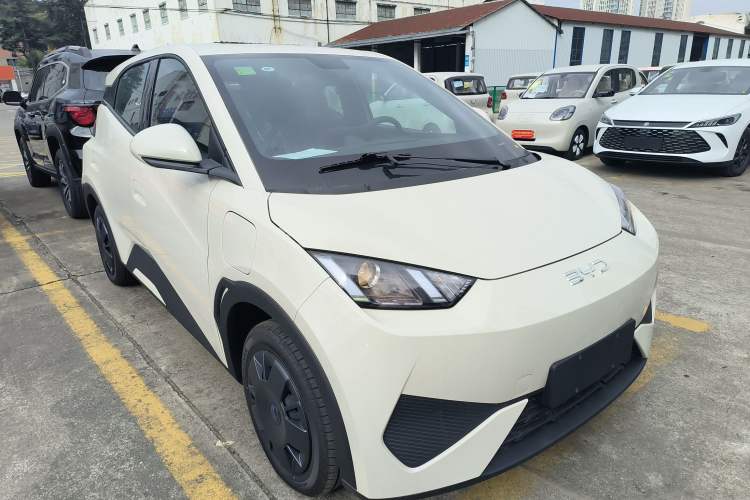 Used BYD Seagull 2025 Intelligent Driving Version 305 km Dynamic Edition
