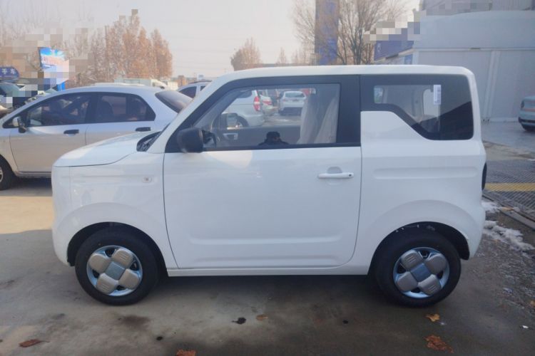 Used  Panda 2024 Panda Mini 200km Endurance Bear
