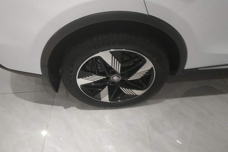 Used BYD Tang New Energy 2023 DM-i Champion Edition 112KM Prestige Model
