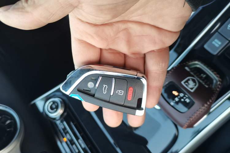 Used FORTHING T5 EVO 2024 Kungfeng Edition 1.5TD DCT Custom Model
