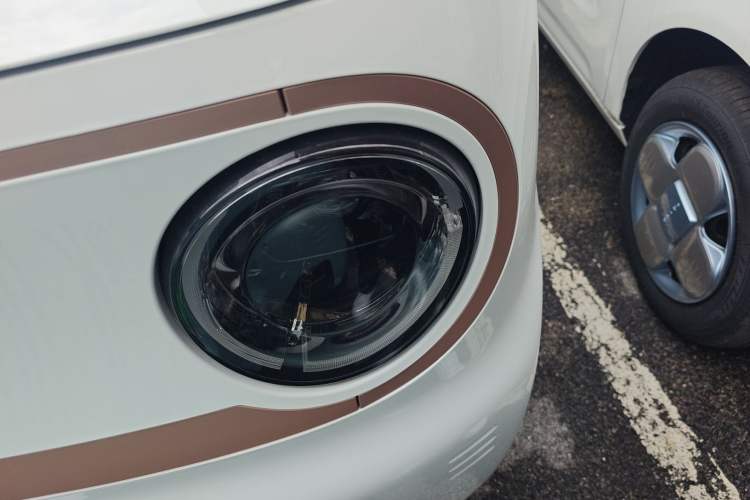 Used  Panda 2024 Panda Mini 200km Endurance Bear
