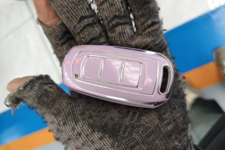 Used  Panda 2023 Panda Mini 200km Endurance Bear