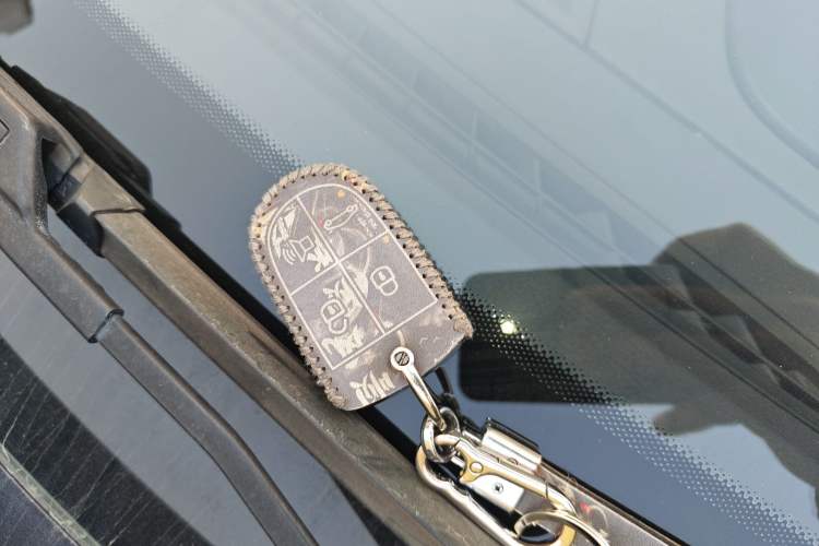 Used BORGWARD BX5 2020 20TGDI Automatic Two-Wheel Drive Pioneer Edition
