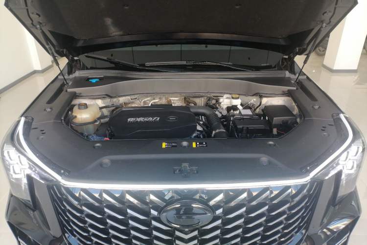 Used GAC Trumpchi GS8 2024 Linghang Series 2.0 TGDI Two-Wheel Drive Luxury Smart Connectivity Version
