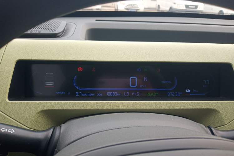 Used  Panda 2024 Panda Mini 200km Endurance Bear
