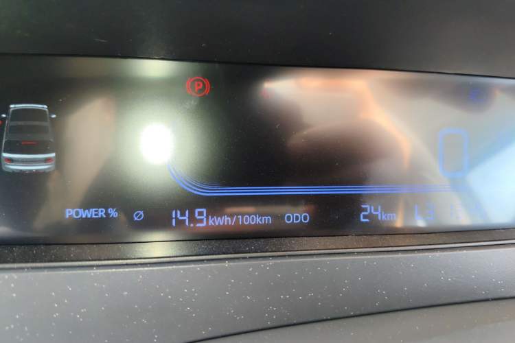 Used  Panda 2025 210 km – Yuanqi Bear
