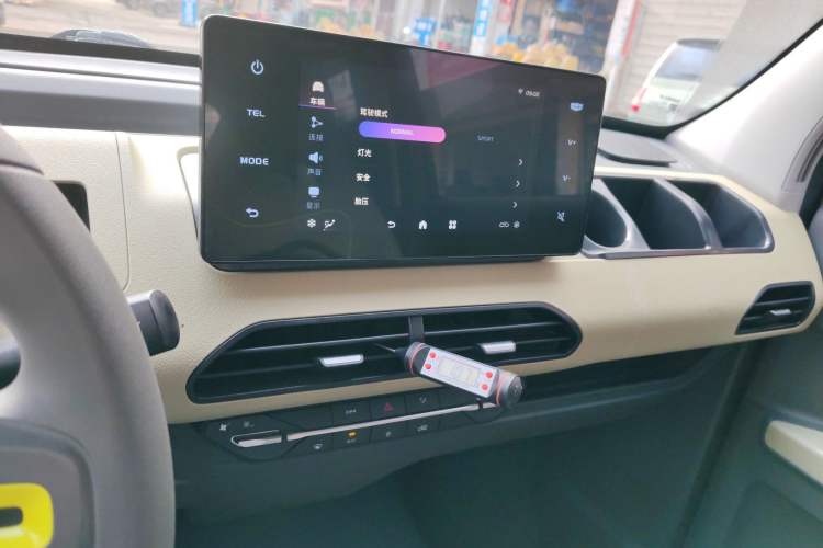 Used  Panda 2024 200km Panda Rider