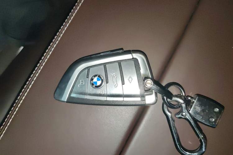 Used BMW 5 Series New Energy 2020 Mileage Upgrade Version 530Le Luxury Package
