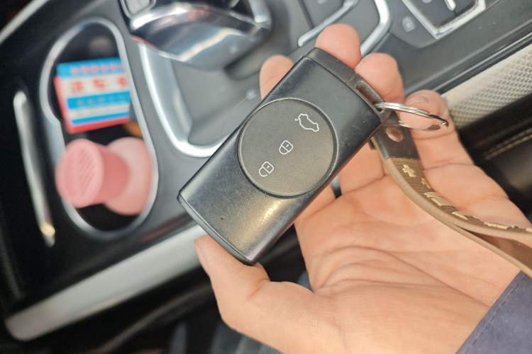 Used  TX 2021 Classic Edition 1.6T Four-Wheel Drive Star Enjoy Version