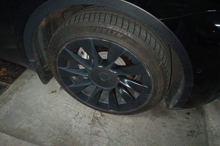 Used Tesla Model Y 2021 Standard Range Rear-Wheel Drive Version
