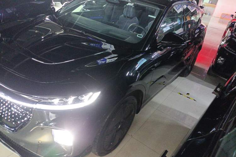 Used VOYAH COURAGE 2024 Four-Wheel Drive Global Edition
