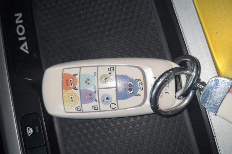 Used AION Y 2022 70 Enjoyment Edition Lithium Iron Phosphate