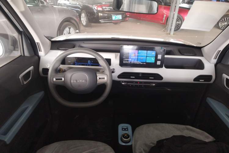 Used  Panda 2024 Panda Mini 200km Endurance Bear
