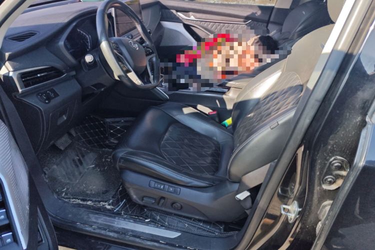 Used SAIC MAXUS D90 2017 2.0T Automatic Two-Wheel Drive - Uranus