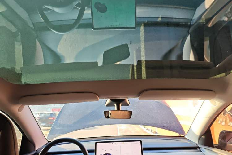 Used Tesla Model Y 2021 Standard Range Rear-Wheel Drive Version
