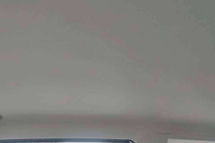 Used  Panda 2024 Panda Mini 200km Endurance Bear
