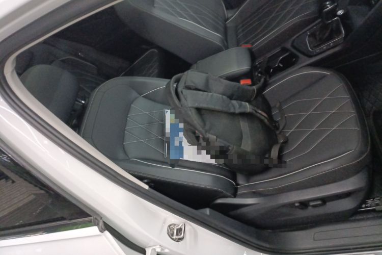 Used Volkswagen Tiguan L 2024 Outstanding Model 330TSI Automatic Two-Wheel Drive R-Line Dragon Glory Edition
