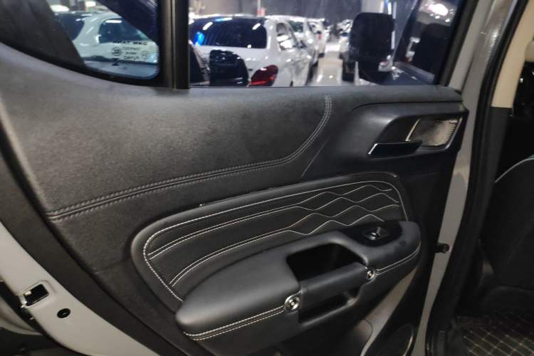 Used Tank 300 2024 2.0T Conqueror
