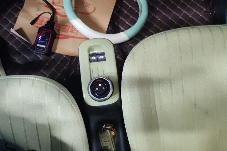 Used  Panda 2024 Panda Mini 200km Endurance Bear
