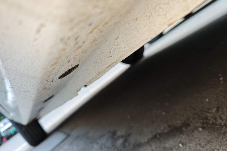 Used  Panda 2025 210 km – Yuanqi Bear
