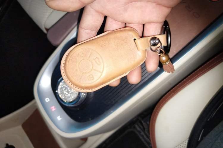 Used ORA Good Cat 2022 400km Standard Range Premium Version Lithium-Ion Battery
