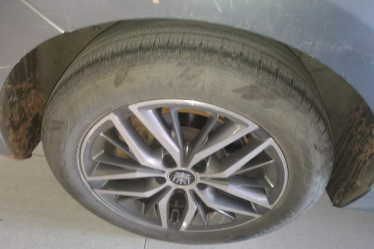 Used BYD Qin PLUS 2021 DM-i 55KM Flagship Model
