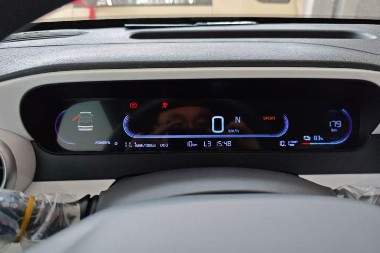 Used  Panda 2025 210 km – Yuanqi Bear
