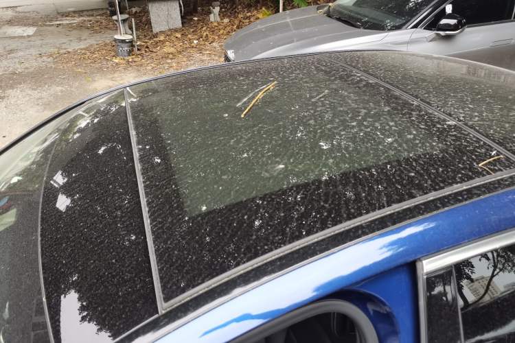 Used Mercedes-Benz C-Class 2019 C 260 L Sport Edition
