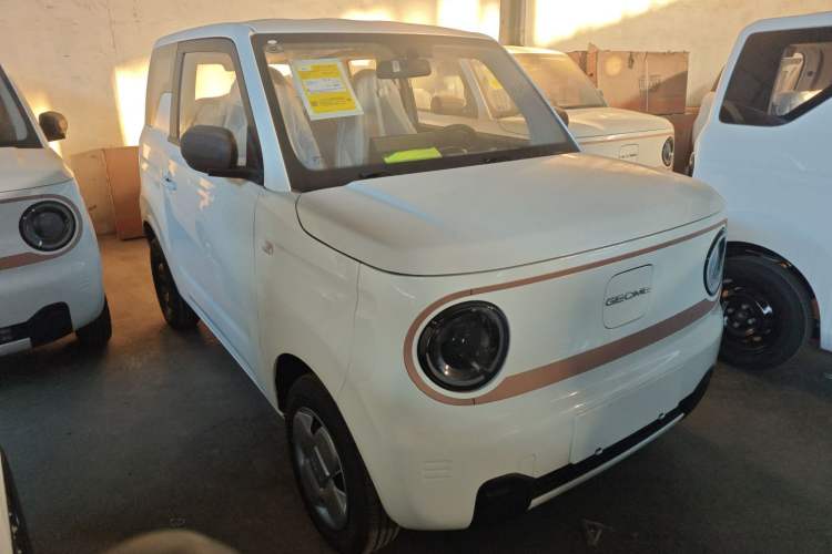 Used  Panda 2024 Panda Mini 200km Endurance Bear