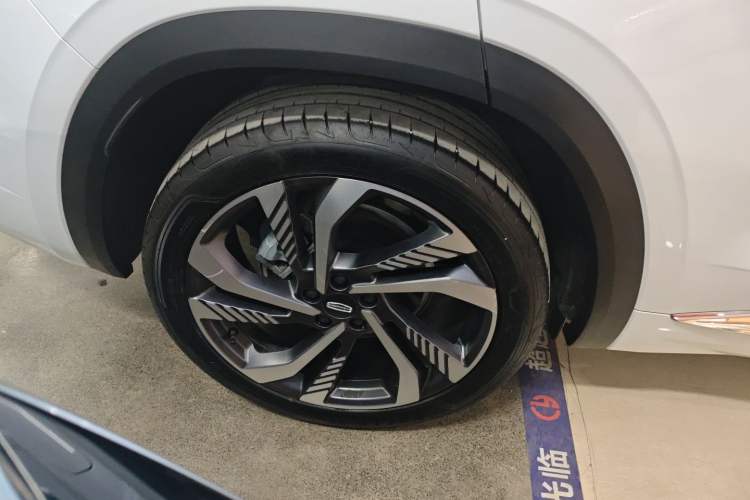 Used Geely Auto Monjaro L 2024 2.0TD High-Power Automatic Two-Wheel Drive Skyline Edition
