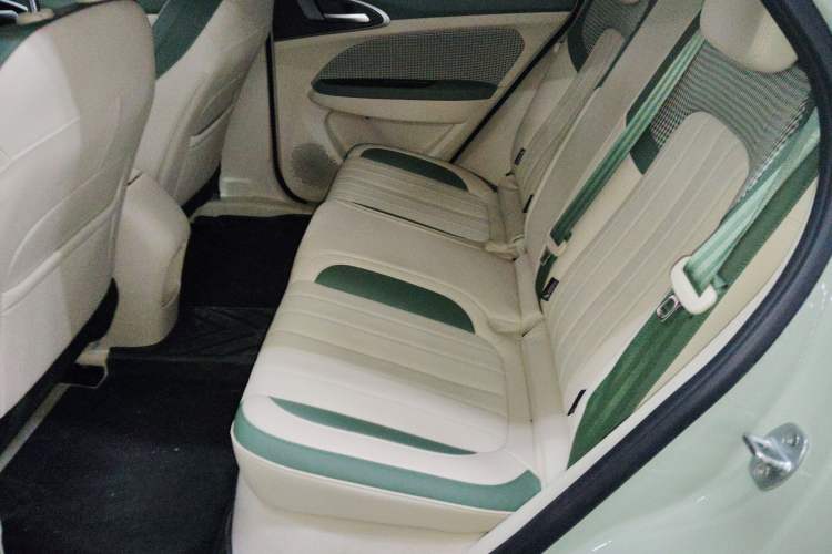 Used ORA Good Cat 2023 401 km Standard Range Luxury Version Lithium Iron Phosphate
