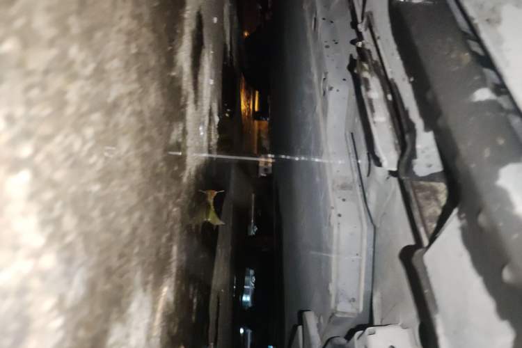 Used BYD Dolphin 2021 405 km Free Version
