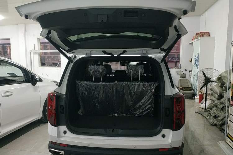 Used GAC Trumpchi GS8 2024 Linghang Series 2.0 TGDI Two-Wheel Drive Luxury Smart Connectivity Version
