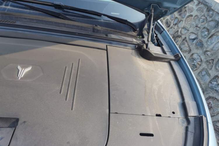 Used VOYAH FREE 2021 Two-Wheel Drive Standard Pure Electric City Edition
