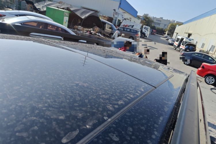 Used Haval DARGO 2022 1.5T DCT Two-Wheel Drive Mastiff Pursuit Edition
